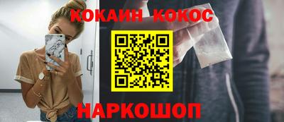 шишки Кимры