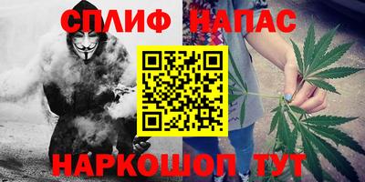 шишки Кимры
