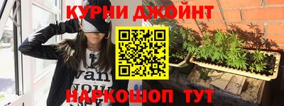 шишки Кимры