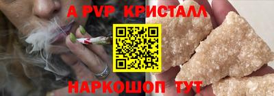 герыч Кингисепп