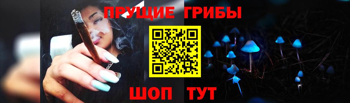 Верхний Уфалей  продажа наркотиков  Псилоцибиновые грибы Psilocybine cubensis  Вход с VPN  Псилоцибиновые грибы Psilocybine cubensis 